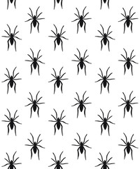 Canvas Print - Vector seamless pattern of black spider silhouette isolated on white background