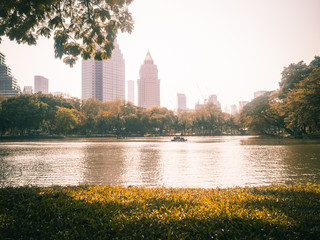 Wall Mural - The beauty of the evening in the park