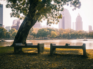 Wall Mural - The beauty of the evening in the park