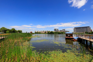 Wall Mural - Summer Landscape of Waterfront City, Tangshan City, China