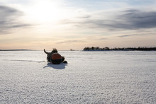 The Dog Playing With The Ball On A Snow Covered Lake In The Background Of Sky With The Silhouettes Of Two Men