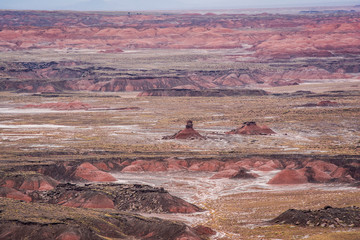 Wall Mural - Painted desert