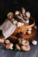 Poster - natural organic mushrooms for vegetarian food