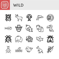 Poster - wild icon set