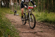 Athlete Cyclist Riding Forest Trail On Mountain Bike In Cycling Competition