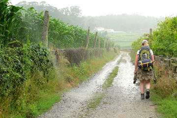 Wall Mural - Peregrina del Camino de Santiago Portugués realizando la etapa entre São Pedro de Rates y Barcelos.