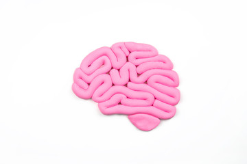 Model of pink human brain on white background. Profile view, flat lay. Intelligence concept. 