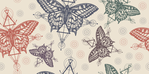 Wall Mural - Butterflies. Seamless pattern. Packing old paper, scrapbooking style. Vintage background. Medieval manuscript, engraving art. Beautiful Swallowtail. Mystical symbol of freedom, nature, tourism