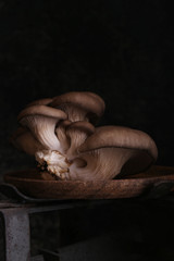 Poster - natural organic mushrooms for vegetarian food