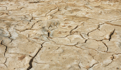 Wall Mural - Salty soil