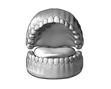 Teeth And Gum Engraving Illustration