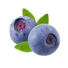 Wall Mural - two forest blueberries with leaves isolated on white background