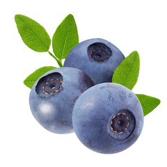 Wall Mural - three forest blueberries with leaves isolated on white background