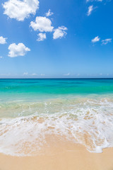 Wall Mural - Looking out over a turquoise ocean with a blue sky overhead, on the Caribbean island of Barbados
