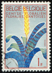 Wall Mural - BELGIUM - CIRCA 1965: stamp 1 Belgian franc printed by Belgium, shows flowering plant Vriesea (Vriesea duvaliana), Flowers Exhibition Gent, circa 1965