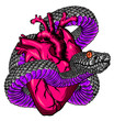 Snake and heart tattoo. Symbol of love, envy, evil t-shirt design vector