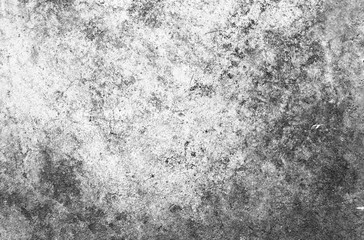Wall Mural - abstract texture dust particle and dust grain on white background.