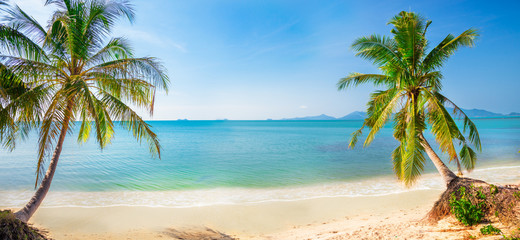 Wall Mural - panoramic tropical beach with coconut palm