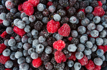 Wall Mural - frozen raspberries, blackberries and blueberries close up