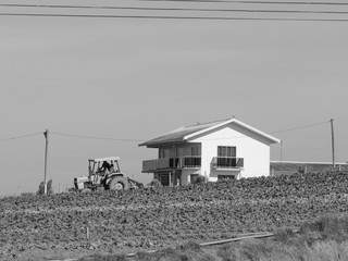 B&W Farmer 