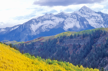 Wall Mural - San Juan National Forest, Aspen, Colorado