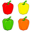 Vector illustration of paprika. Set of four vector illustration of peppers. Red, Yellow, Green and orange pepper.