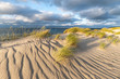 Sand dunes on the beach at the North Sea coast