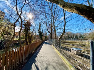 road along an avenue of trees, walk with a cloudless sky, footpath with two fences, narrow path, trees in a row, tree avenue, walk in the park, sunlight between branches, sunlight between trees