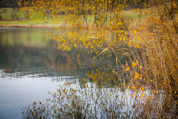 autumn, eifel, lake, water, nature, sky, forest, green, landscape, sun, travel, blue, outdoors, rural, rurberg, season, tree, cloud, color, reflection, rursee, summer, tranquil, area, clear, course, e