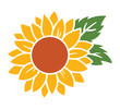 Yellow sunflower with green leaves vector illustration.