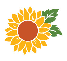 Yellow Sunflower With Green Leaves Vector Illustration.