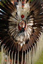 Eagle Feather Bustle On An Elder Native Indian Attending A Pow Wow