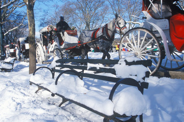 Fototapete - Horse carriage ride in Central Park, Manhattan, New York City, NY after winter snowstorm
