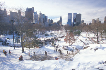 Fototapete - Ice skating Wollman Rink in Central Park, Manhattan, New York City, NY after winter snowstorm