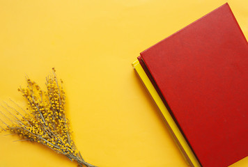 A beautiful spring bouquet of fresh Mimosa with two red hardcover books on a clear yellow background. books day mockup