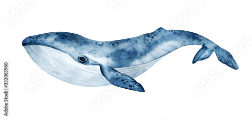 Fotografía Watercolor blue whale illustration isolated on white background
