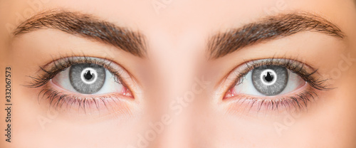 Fotomural Close-up beautiful grey eye with round glare in the eyes of the ring flash