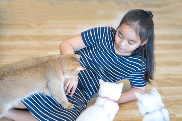 Asian girls Happy with feeding cats in the house.Stay at home quarantine coronavirus pandemic .