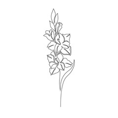 Sticker - Gladiolus flower on white