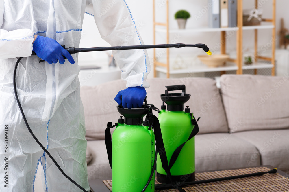 Unrecognizable person disinfecting home sofa with cleaning spray - obrazy, fototapety, plakaty 