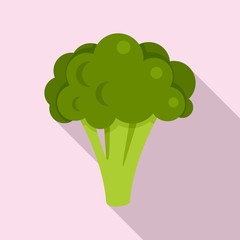 Poster - Broccoli cabbage icon. Flat illustration of broccoli cabbage vector icon for web design