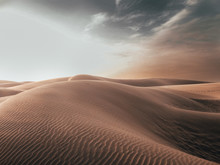 Sand Dunes In The Desert.