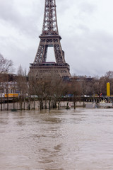 Wall Mural - eiffel tower in paris