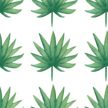 Watercolor Seamless Tropical Leaves Pattern. Foliage Digital Paper. Exotic Floral Wrapping Paper.Monstera Leaf, Banana Leaves Green Scrapbook Paper. Hand Drawn Illustration.