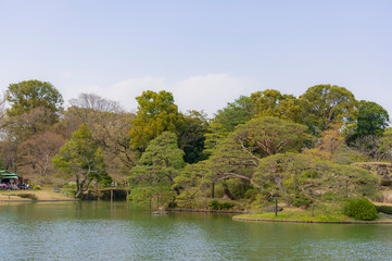 Wall Mural - 東京都文京区駒込の日本庭園の風景