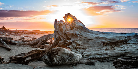 Wall Mural - sunset on the beach