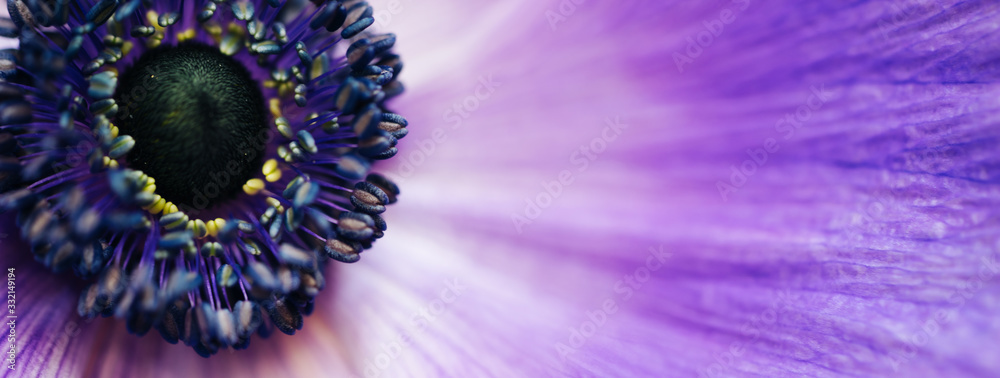 Closeup vintage image of beautiful purple flower. Floristic decoration. Floral abstact background. Natural flowers wallpaper or greeting card. Macro view - obrazy, fototapety, plakaty 