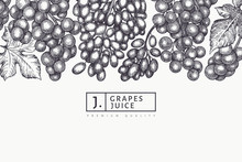 Grape Design Template. Hand Drawn Vector Grape Berry Illustration. Engraved Style Retro Botanical Banner.
