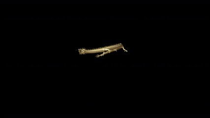 Wall Mural - gold chinese dragon full body move fast from far to near camera with 3d rendering include alpha path
