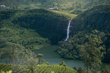 Wall Mural - Beautiful Waterfalls in Maskeliya, Sri Lanka